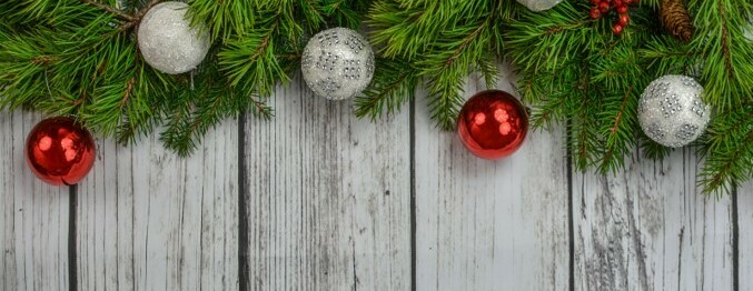 Mini Photography Sessions